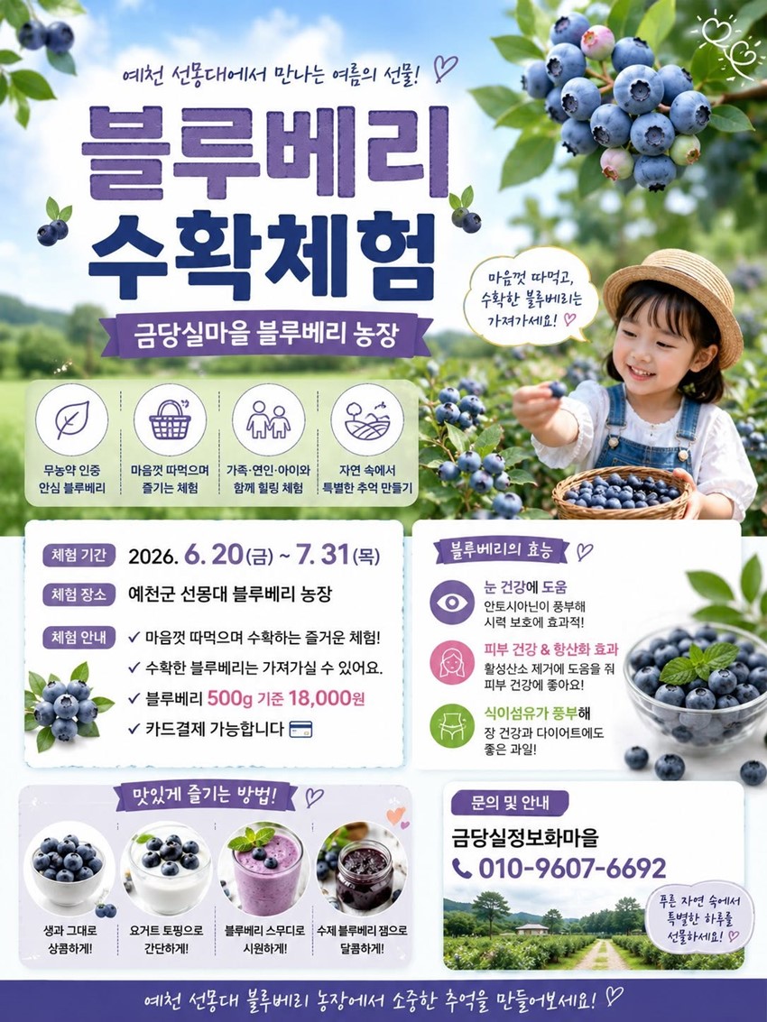 1.2026년 블루베리 따기 체험 안내